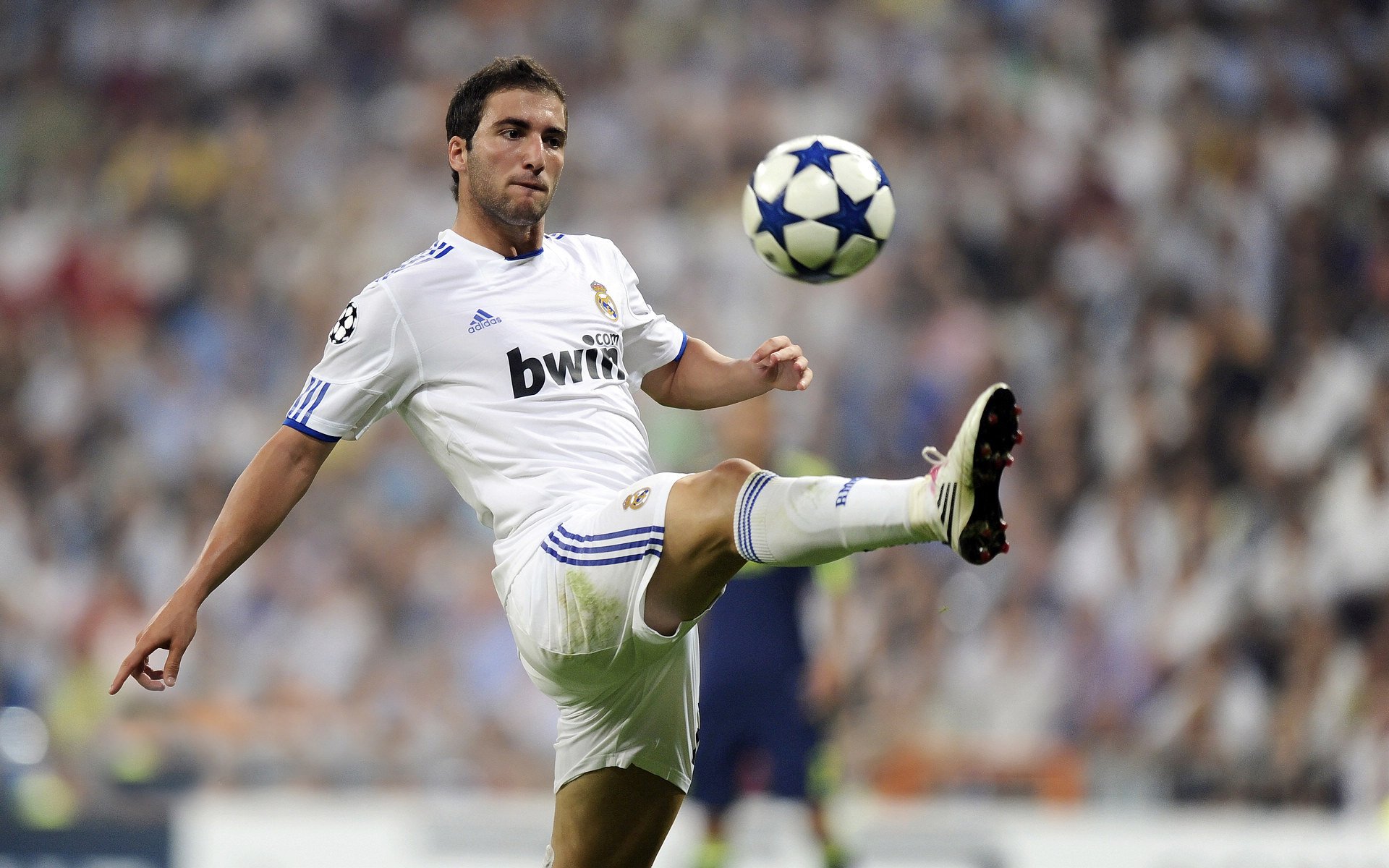 世界围棋快棋世锦赛 朴廷桓连赢五局强势封王